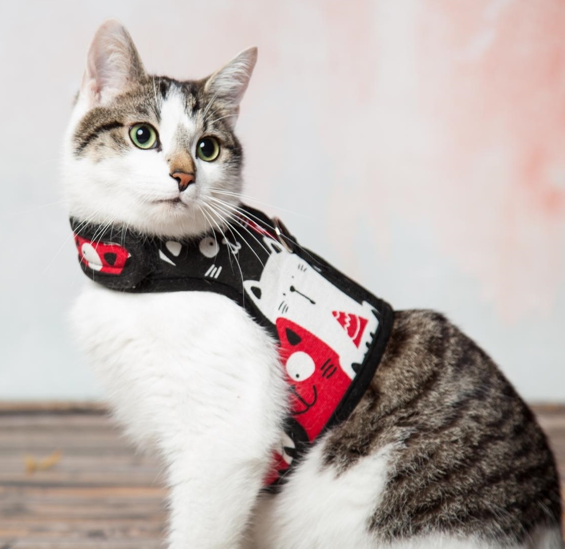 Cat Walking Jacket Katzengeschirr NO ESCAPE ausbruchsicher mit